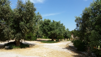Parco